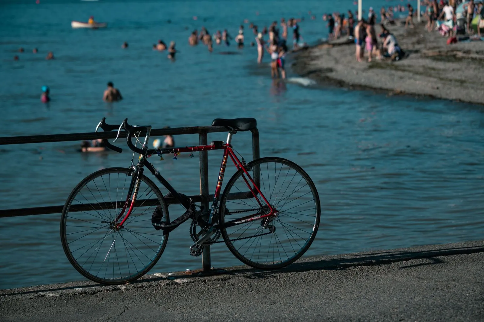 What to Bring on a Wellington Bike Ride